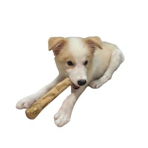Premium Java Wood Dog Chew Stick Safe for Pets Ready for Export Vietnam Supplier with Card <b>Box</b> <b>Packaging</b> - Product Image 5
