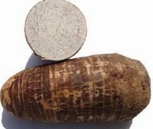 Taro Congelado de Alta Calidad Procesado por IQF para la Elaboración de Bolas de Taro y Pudines, Empaque a Granel de 25 kg, Precio de Fábrica - Product Image 3