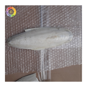 Directo de Fábrica: Conchas de Calamar Naturales Blanqueadas, Polvo de Concha de Calamar para Alimentación Animal, Alimento para Mascotas, Alimento para Acuicultura, Suministro para Exportación - Product Image 1