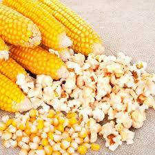 Palomitas de Maíz Orgánicas Secas de la Mejor Calidad, al por Mayor, a Granel, Grado Alimenticio, Disponibles para Exportación - Product Image 2