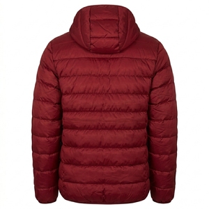Veste matelassée à capuche pour homme avec logo personnalisé, manteau d'hiver chaud et isolé pour les activités décontractées et de plein air - Product Image 6