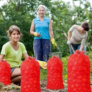 ถุงตาข่ายใส่หัวหอม ถุงเก็บผักหัวหอม ถุงตาข่ายใส่หัวหอม ถุงเก็บผักหัวหอม - Product Image 5