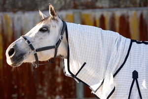 프리미엄 호주 체크 면 립 스톱 패브릭 사용자 정의 폴리코튼 말 담요 여름 시트 최저가 나일론 OEM 주문 품질 - Product Image 2