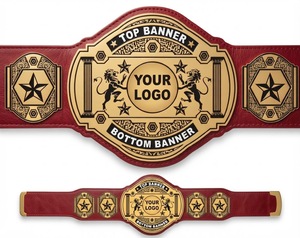 Cinturón de Campeonato de Lucha Libre Personalizado, Placa de Metal Dorada, Logotipo Personalizado, Equipo Deportivo, Cinturón de Campeonato Personalizado - Product Image 2