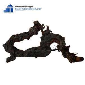 Decoración de Acuario de Madera Flotante Natural Thanh Tung Thinh, Forma Irregular, Adorno Ecológico para Pecera Hecho en Vietnam - Product Image 3