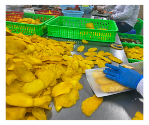 <b>Dried</b> <b>Mango</b> Slices Soft Chewy Tropical Fruit Snack Bulk Wholesale & Private Label Available Halal & ISO <b>Dried</b> <b>Mango</b> 2026 <b>Mango</b> - Product Image 1