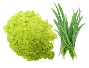 Poudre d'extrait de feuille de Pandan en vrac, soluble dans l'eau, pour crème glacée et gelée - Product Image 5