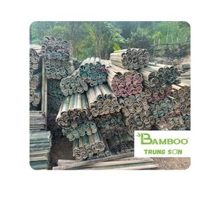 [BAMBOO TRUNG SON] |   LOS MÁS VENDIDOS |   Divisores de Bambú Modernos de 30 Pulgadas para Barrera Contra Malezas y Uso en Jardines en Pakistán y Vietnam - Product Image 1