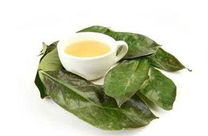Sopa de Guanábana Seca Suave de Vietnam, Fruta Tropical Natural Sin Azúcar Añadido, Snack Masticable, Calidad de Exportación, Venta al por Mayor, Snack Listo para la Oficina - Product Image 2