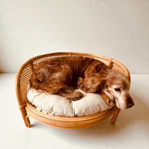 Cama de lujo para mascotas de ratán, sofás cama para perros de alta calidad, muebles ecológicos para mascotas al por mayor - Product Image 6
