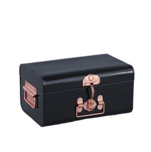 <b>Trunk</b> Box <b>Metal</b> Chest For Home Use Portable Lightweight For Cloths & Jewelry Store <b>Trunk</b> Box - Product Image 6