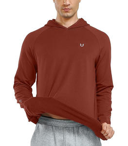 Sweat-shirts à capuche coupe classique unisexe, 450 GSM, 100% Coton, Streetwear Décontracté, Teint uni, Hiver, Vente en gros, Personnalisables - Product Image 2