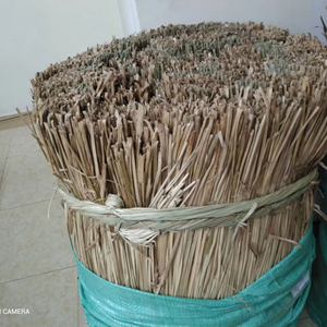 หญ้าทะเลแห้งสำหรับสาน ความยาว 1.3 เมตร หญ้าทะเลธรรมชาติสำหรับงานฝีมือและเฟอร์นิเจอร์ ราคาแข่งขันจากผู้ผลิต ANGLE 12 - Product Image 3