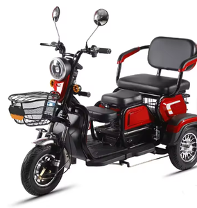 800W 1000W Electric Tricycles 3 <b>Wheel</b> Electric Cargo Bike Household <b>Small</b> Scooter Three-seat Adjustable Electric Tricycles - Product Image 1