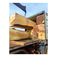 Fournisseur en gros de bois dur Iroko de qualité supérieure pour meubles, revêtements de sol, terrasses et acheteurs internationaux