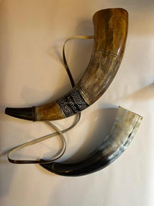 Authentique paire de cornes de buffle polies à la main pour la décoration et les accessoires de haute qualité avec Unique Falak World Export - Product Image 5