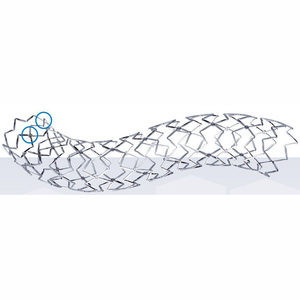 Biosensors BioMatrix NeoFlex, Sistema de Stent Coronario de Grado Industrial Profesional, Garantía de 2 Años, Personalización ODM/OEM - Product Image 2