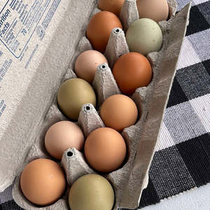 Huevos de gallina frescos con alto contenido proteico 2026 en stock, huevos de mesa empaquetados y suministrados para compradores al por mayor, precios con descuento. - Product Image 6