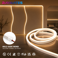 RAYMATES Factory 0612 Strip lampu Neon Led silikon lengkung samping 24V IP67 putih/CCT/RGB untuk Kabinet luar ruangan & dalam ruangan