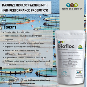 Suplemento de probióticos potenciador de calidad del agua para tecnología Biofloc - Product Image 3