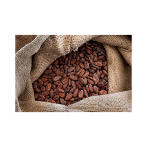 Fèves de cacao de qualité supérieure prêtes à être expédiées en gros, export en vrac, meilleure qualité, approvisionnement - Product Image 1