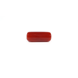 Natural Red Coral Loose Gemstone 5.58 Carat Certified Wholesale Raw - Product Image 2