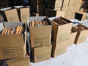 เวียดนาม ซีเรียลคาเซีย ฤดูกาลใหม่ อบแห้งตามธรรมชาติ คุณภาพดีที่สุด พร้อมส่งออก - Product Image 6