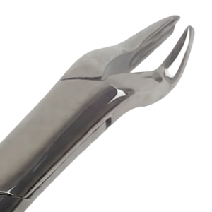 คีมถอนฟัน # เครื่องมือถอนฟันสแตนเลสแบบแมนนวล รุ่น 53R สำหรับฟันกรามบนซ้าย-ขวา ซี่ที่ 1 และ 2 พร้อมด้ามจับตามหลักสรีรศาสตร์ - Product Image 4