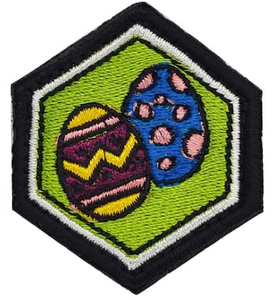 Embroidered Canvas Fabric Patches with Hook & Loop Style for Sports Team <b>Badges</b> Gifts & Home Decor-Custom Shapes Available - Product Image 3