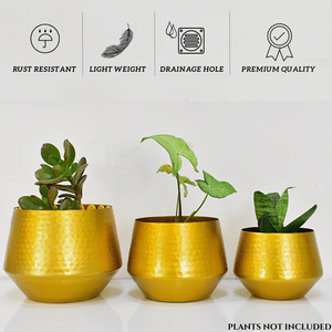 Wholesale Eco-Friendly Iron Powder Coated Minimalist Plant <b>Pots</b> for <b>Succulents</b> and Modern Home Decor - Product Image 6