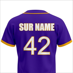 Maillot de baseball personnalisé professionnel, uniforme d'équipe, vêtements de sport respirants à séchage rapide pour l'été et l'automne, fournisseur OEM en gros - Product Image 5