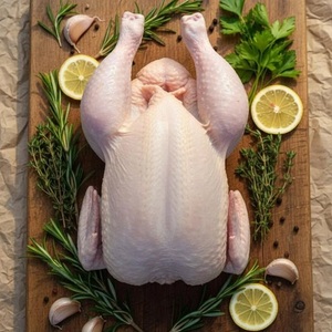Pollo Congelado de Alta Calidad al por Mayor, Sin Azúcar, con Vitaminas, a Buen Precio, con Certificación Halal - Product Image 4
