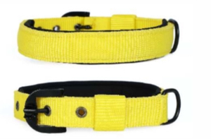 Adjustable Nylon Dog <b>Collar</b> with Heavy Duty Buckle Custom <b>Pet</b> <b>Collar</b> Wholesale from Divine International - Product Image 4