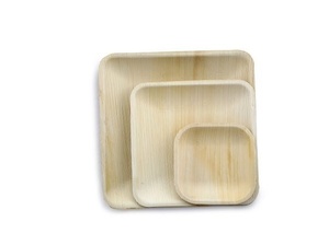 Assiettes carrées en feuilles de palmier Areca, robustes et durables, 10 pouces, lot de 50 pièces, jetables, écologiques, biodégradables, compatibles micro-ondes - Product Image 1
