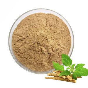 Wild-Cultivated 100% Pure Ashwagandha Root Powder Food Grade Organic Ashwagandha Powder Available in Customized Packaging - Product Image 6