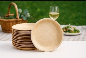 Biodegradable Palm Leaf Plates Heat Resistant Dinnerware 10 Inches Round Shapes Plates Eco Catering Supplies Bulk in 2026 - Product Image 1