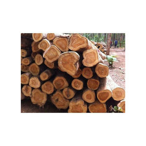 Blocs de bois de balsa, vente chaude, usine chinoise, importateurs de bois de balsa - Product Image 6