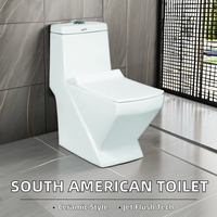 Offre Spéciale – WC Monobloc en Céramique à Design Moderne, à Double Chasse, Allongé, Siphonique (S-Trap/P-Trap), Fixation au Sol, Garantie 5 Ans