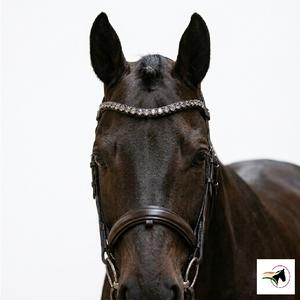 Diadema de Cuero Genuino Personalizada para Caballo, Diseño Curvo, 10mm, con Cristales Rivoli Negros y Diamantes, Diadema Brillante con Lazos de Cambio Rápido - Product Image 1