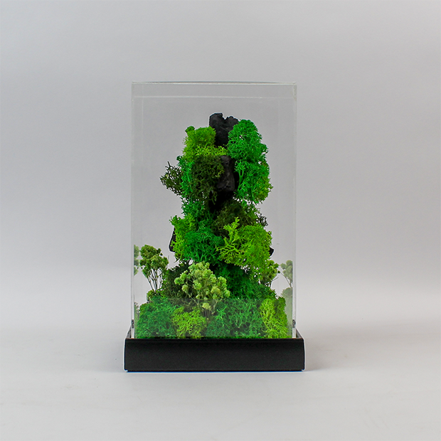 Vert