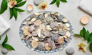 Nyctanthes เมล็ด harshringar กินได้ paarijaat beej beej harshingar parijat เมล็ด parijaat beej - Product Image 3