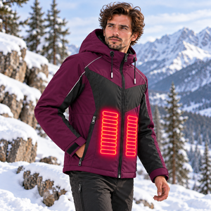 Veste à capuche chauffante USB personnalisée, veste thermique alimentée par batterie pour l'hiver, vêtement d'extérieur, contrôle intelligent de la température, pour hommes et femmes - Product Image 4