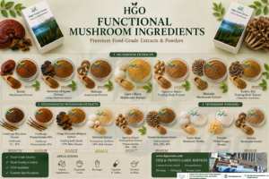 HGO Suministro directo de fábrica de extracto de hongo Shiitake natural puro (grado alimenticio) Especificación 4:1 (extracto de proporción) - Product Image 2