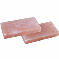 Briques de sel rose de l'Himalaya naturelles, briques de sel cristallisé sculptées à la main pour le revêtement mural, décoration intérieure