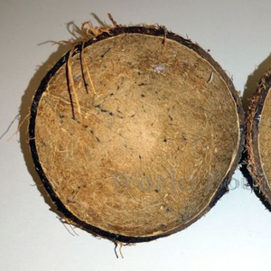 Charbon de coco compressé de qualité supérieure, à haute performance, provenant du Tamil Nadu, durée de conservation de 3 ans, pour le démarrage du feu (charbon de bois brûlé à sec) - Product Image 3