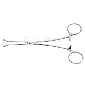 Pince à tissus Allis courbée en acier inoxydable, instrument médical manuel pour échantillons chirurgicaux - Product Image 4