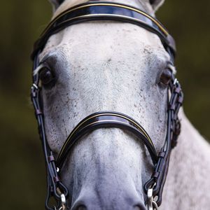 Ensemble de bridon et de mècate en cuir de qualité supérieure OEM pour l'équitation et les courses de chevaux, directement de l'usine - Product Image 5