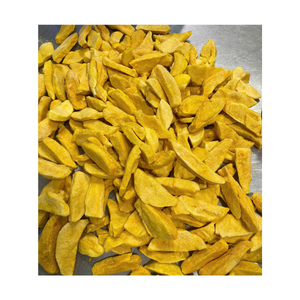 Mango Deshidratado al Vacío en Rodajas, Puro y Natural, Sin Aditivos, Listo para Comer, Larga Vida Útil (2 Años), Venta al Por Mayor - Product Image 6