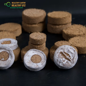 ECO2GO VIETNAM - Sustrato Ecológico de Fibra de Coco para una Germinación Saludable de Semillas y Desarrollo de Plantas - Product Image 2