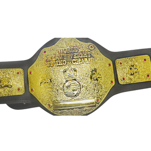 Cinturón de Campeón Mundial de Lucha Libre, Diseño Premium Chapado en Oro, Personalizable, Trofeo de Lucha Libre de Alta Calidad - Product Image 4